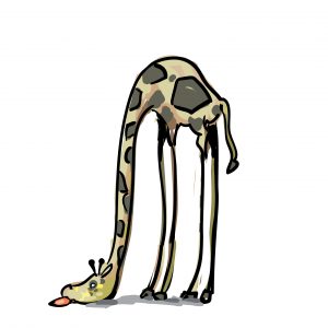 113apoplecticgiraffe